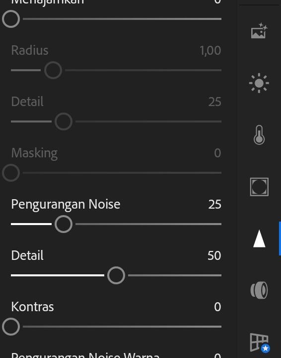 Begini Cara Edit Foto Menggunakan Lightroom Mobile