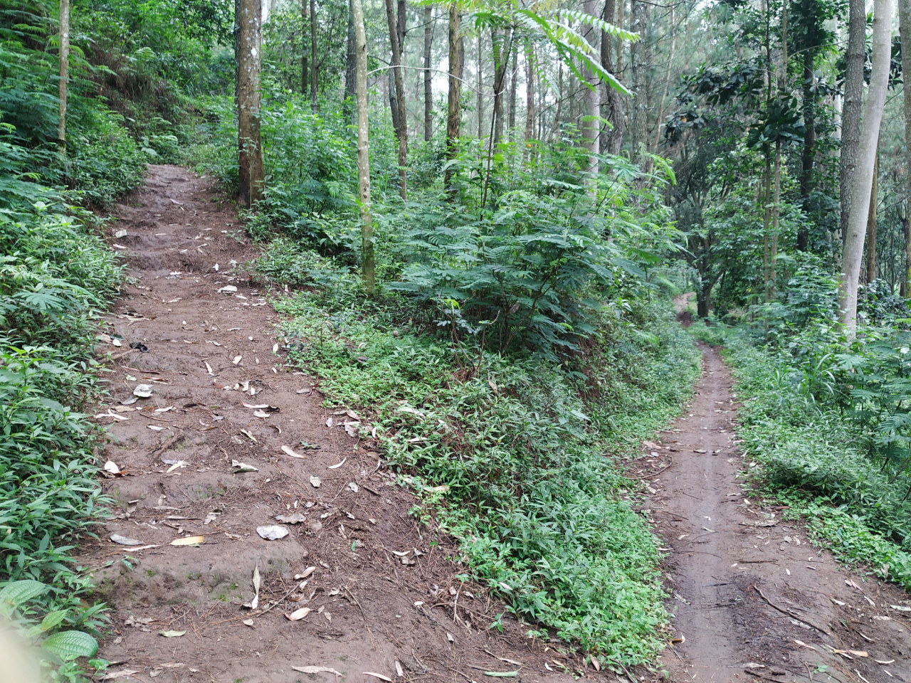 SANTUY MENDAKI GUNUNG DI MUSIM HUJAN - CATPER GUNUNG BURANGRANG 14-15 JANUARI 2020