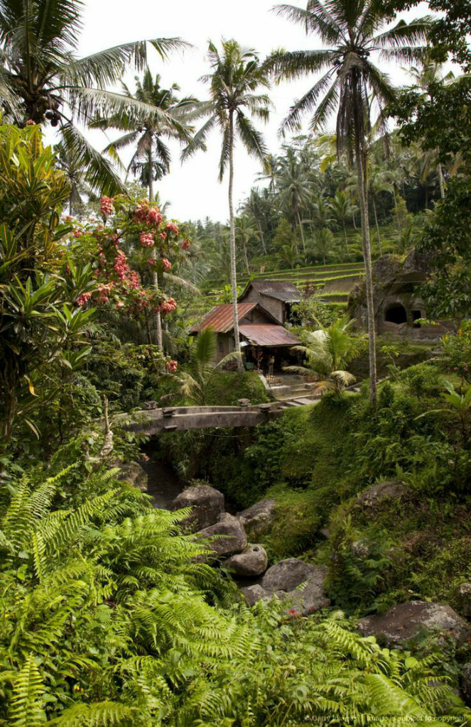 Tumbuh Subur dan Makmur di Tanah Bugis