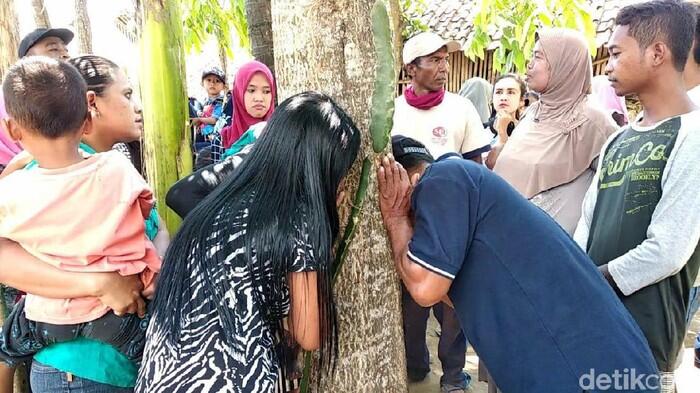 Heboh Pohon di Jember Keluarkan Suara Perempuan Menangis