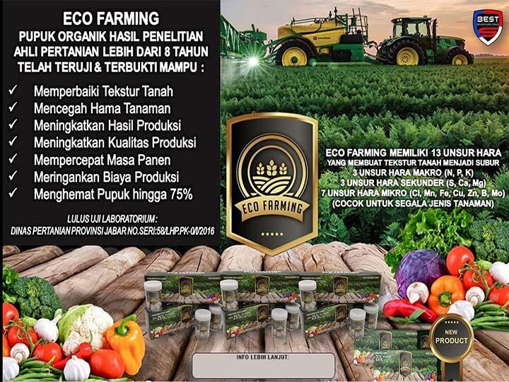 SINERGY WORLD - ECO, LVN 