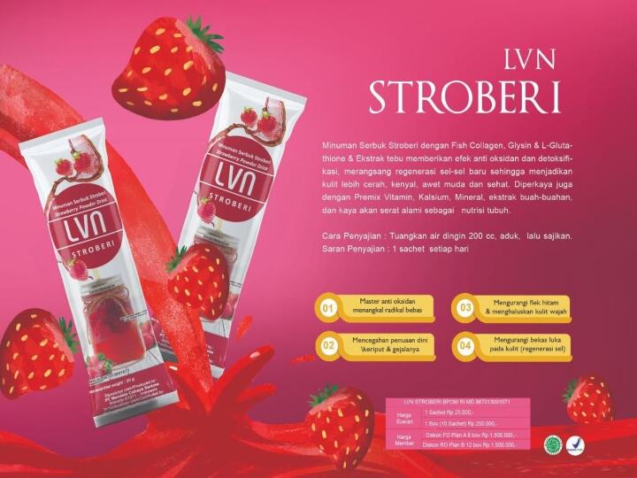 SINERGY WORLD - ECO, LVN 