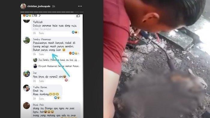 Viral Video Pemuda Pamer Bakar Kucing dan Makan Dagingnya