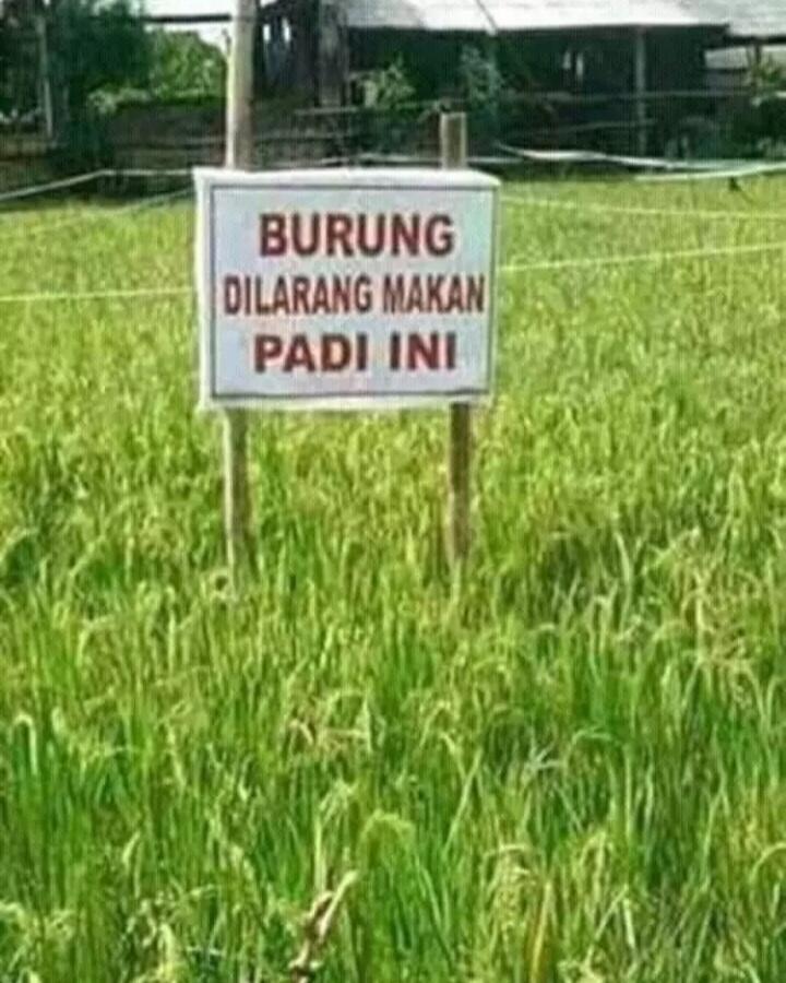 11 Rambu Peringatan Paling Aneh, Absurd dan Lucu yang Bakal Bikin Kamu Tertawa