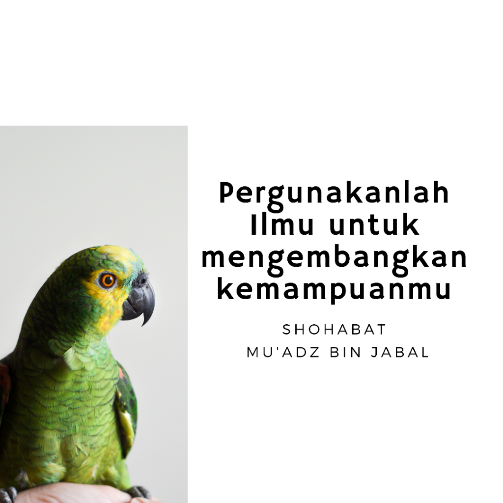 Dengan Berilmu, Kita Bahagia