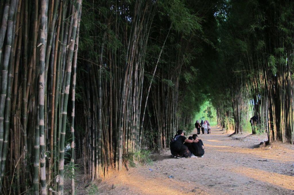 Hutan Bambu Surabaya Kesejukan Di Tengah Kota - Januari 2020