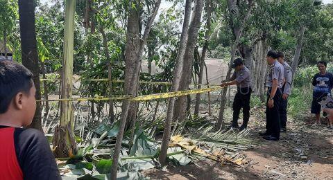 Berawal dari Mulut Anak SD, Pohon Menangis Viral hingga Diberi Garis Polisi
