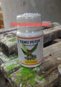 Tanaman Temu Putih Obat Pencegah Kanker