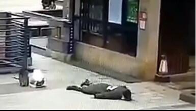 Beginilah Virus Korona menjangkiti tubuh melalui udara