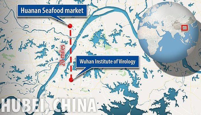 Virus Corona Diduga dari Fasilitas Paling Rahasia China, Bisa Membunuh 65 Juta Jiwa