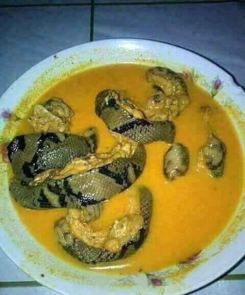 Melihat Makanan Aneh Pasar Beriman Dari Tikus Asap Hingga Sate Biawak