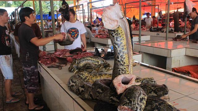 Melihat Makanan Aneh Pasar Beriman, Dari Tikus Asap Hingga Sate Biawak Tersedia