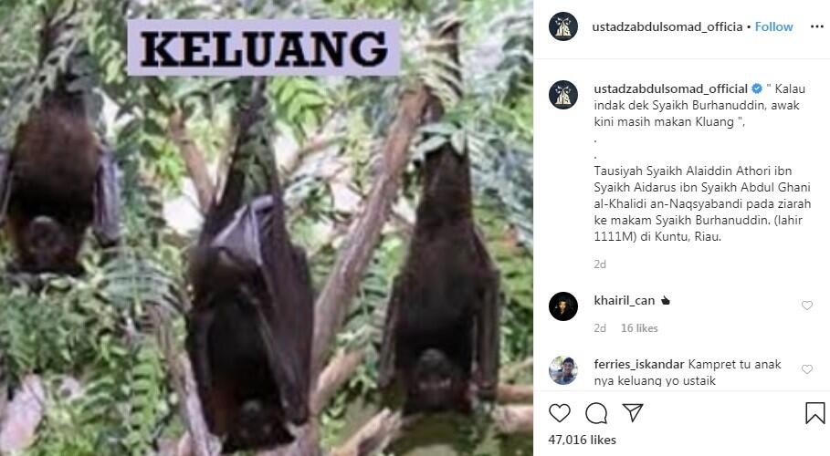 Ustaz Abdul Somad Tulis Kisah Makan Kelelawar saat Virus Korona Merebak