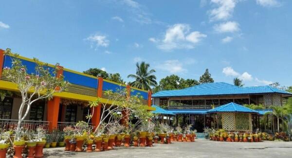 4 Rekomendasi Tempat Kuliner Ekstrem di Sulawesi Utara, Sudah ke Sini?