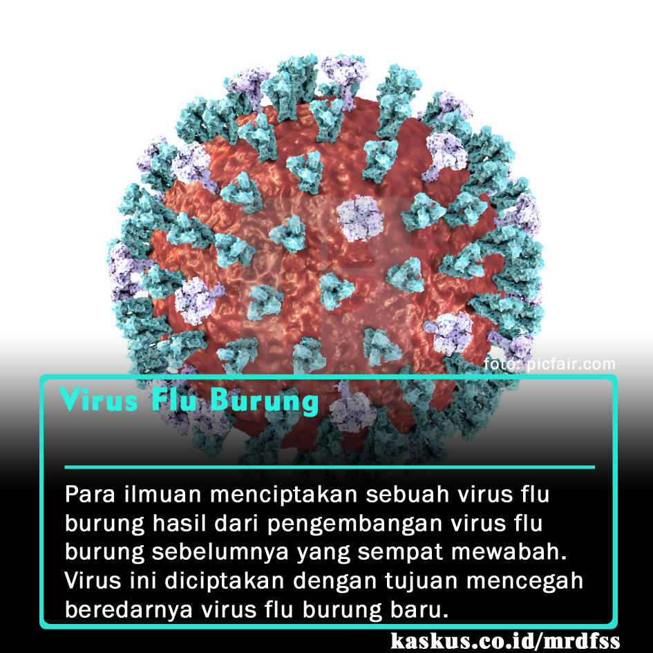 5 Virus Yang Diciptakan Untuk Membasmi Virus