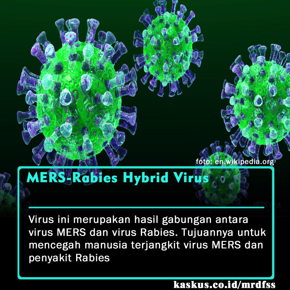 5 Virus Yang Diciptakan Untuk Membasmi Virus