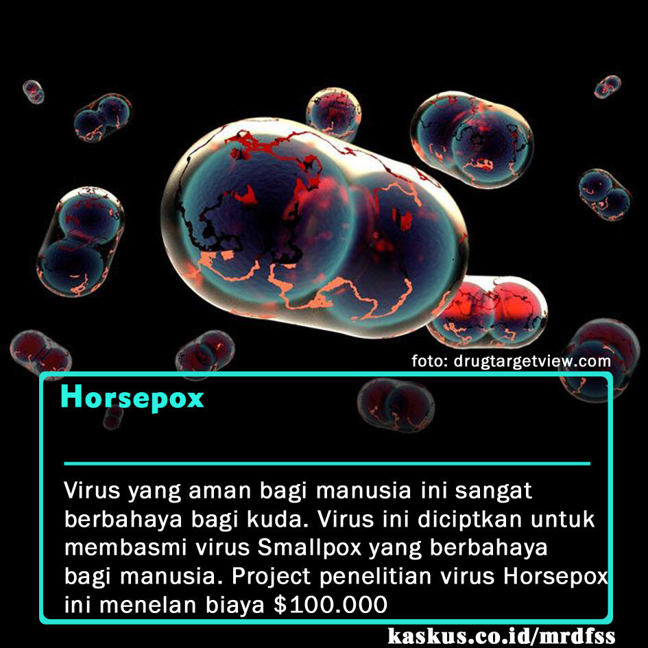 5 Virus Yang Diciptakan Untuk Membasmi Virus