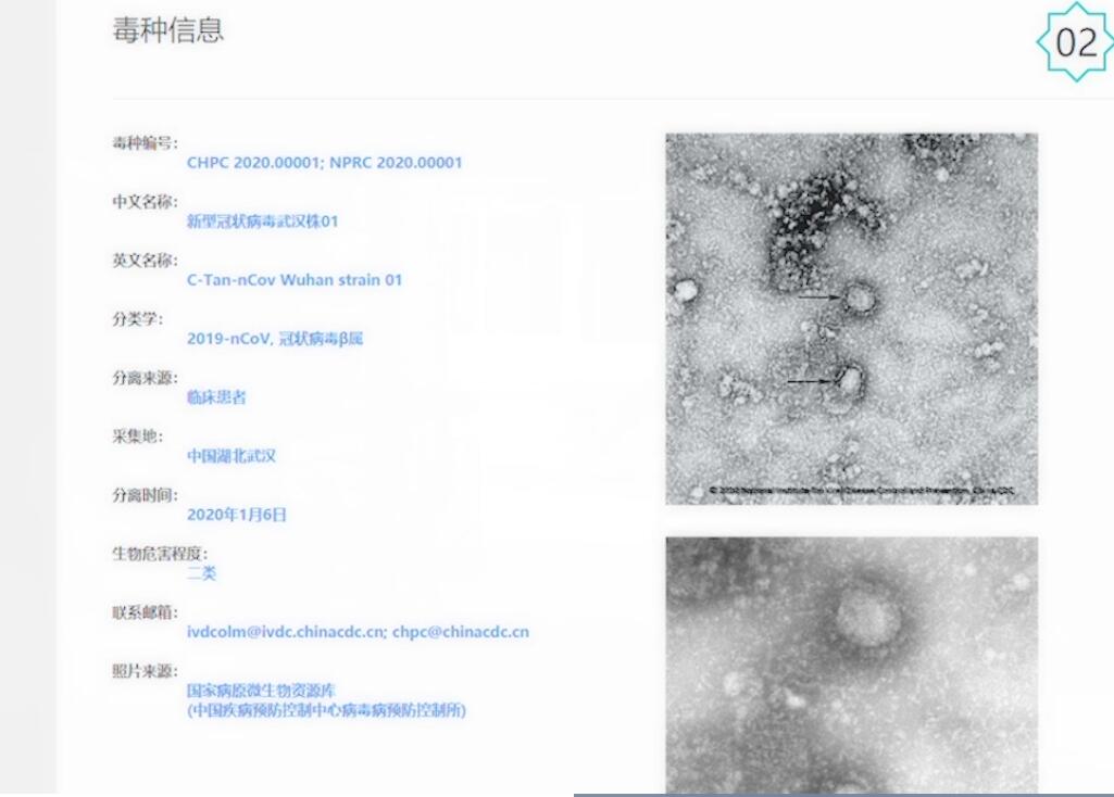 Penjelasan Spesialis Paru Indonesia, Kok Bisa 51 Pasien Virus Corona di China Sembuh?