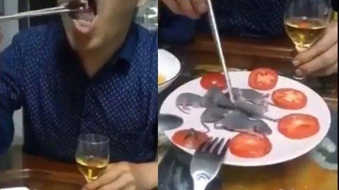 Alasan Warga Tiongkok Suka Makan-makanan Ekstrem!! (#PRAYFORCORONAVIRUS)