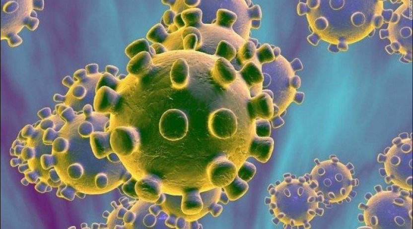 Berkat Anjing Peliharaan, Wanita Ini Bisa Terhindar Corona Virus