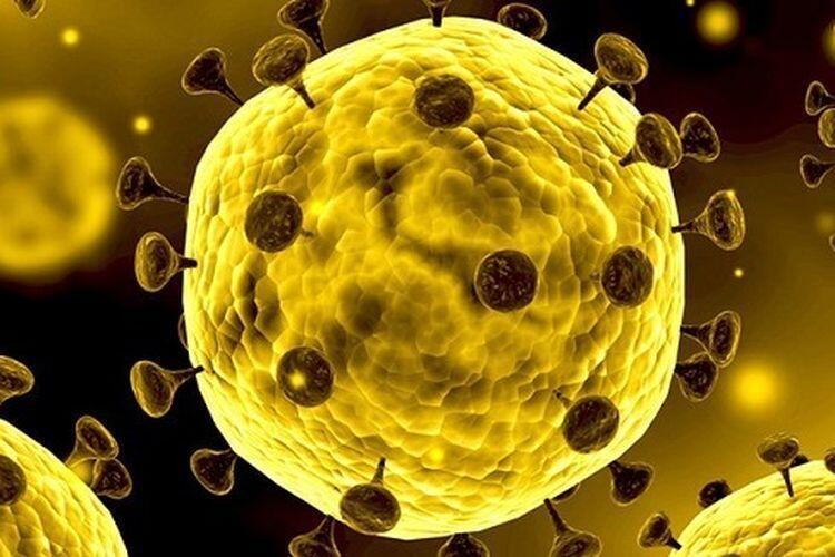 Masa Inkubasi Corona Virus 14 Hari, Apa Itu Masa Inkubasi?