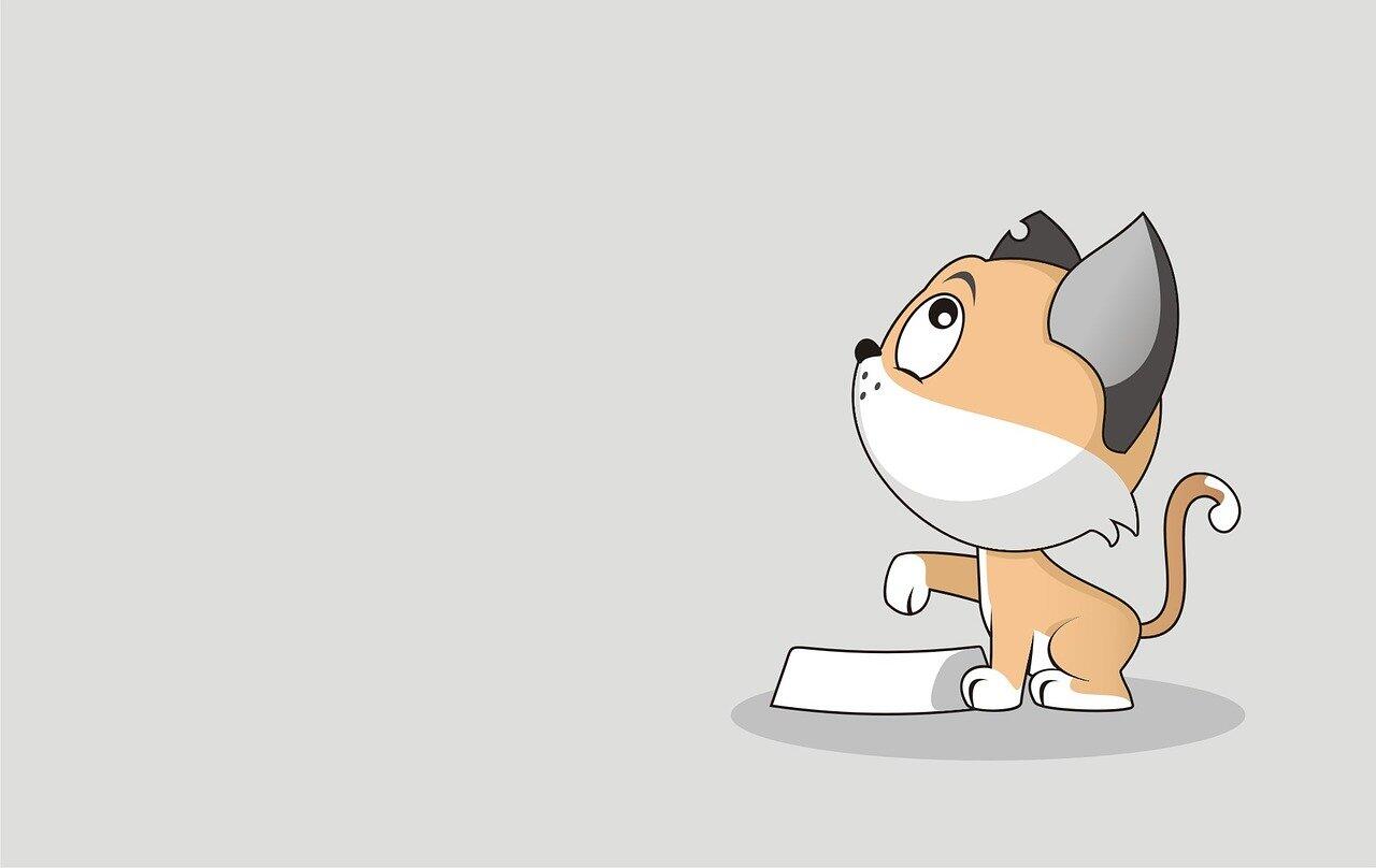 4 Alasan Kenapa Kucing Mengikuti Pemiliknya