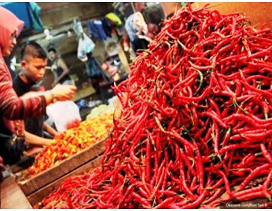 Mendag Agus Pastikan Harga Cabai Sudah Mulai Turun