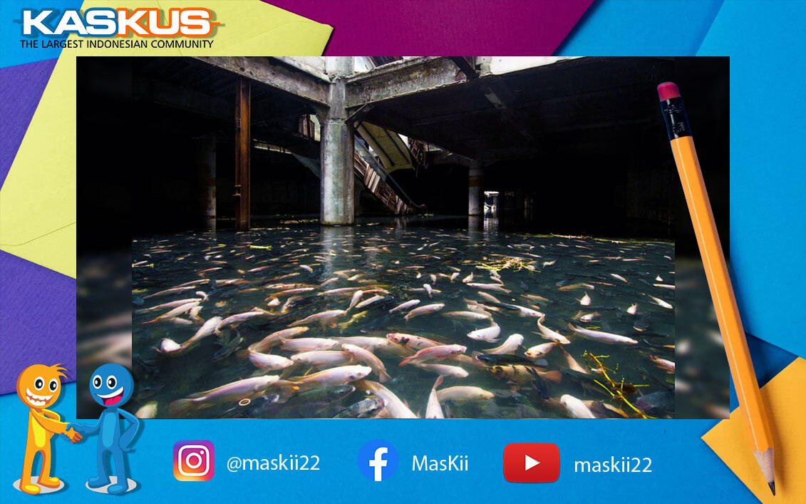 Menakjubkan! Tempat Lama ini dirapikan Oleh Alam