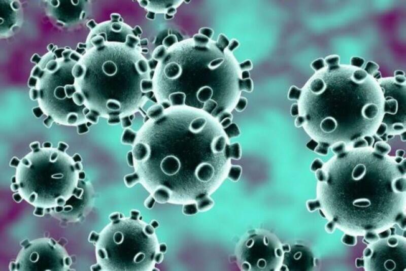 Mengenal Virus corona Dan Apa Itu Nelfinavir