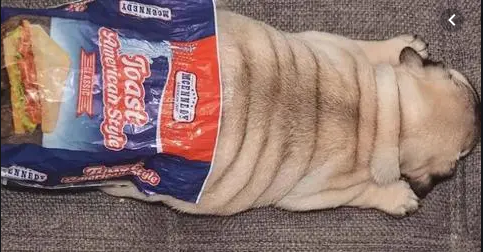 Bikin Gagal Fokus, 10 Foto ini Mirip Makanan