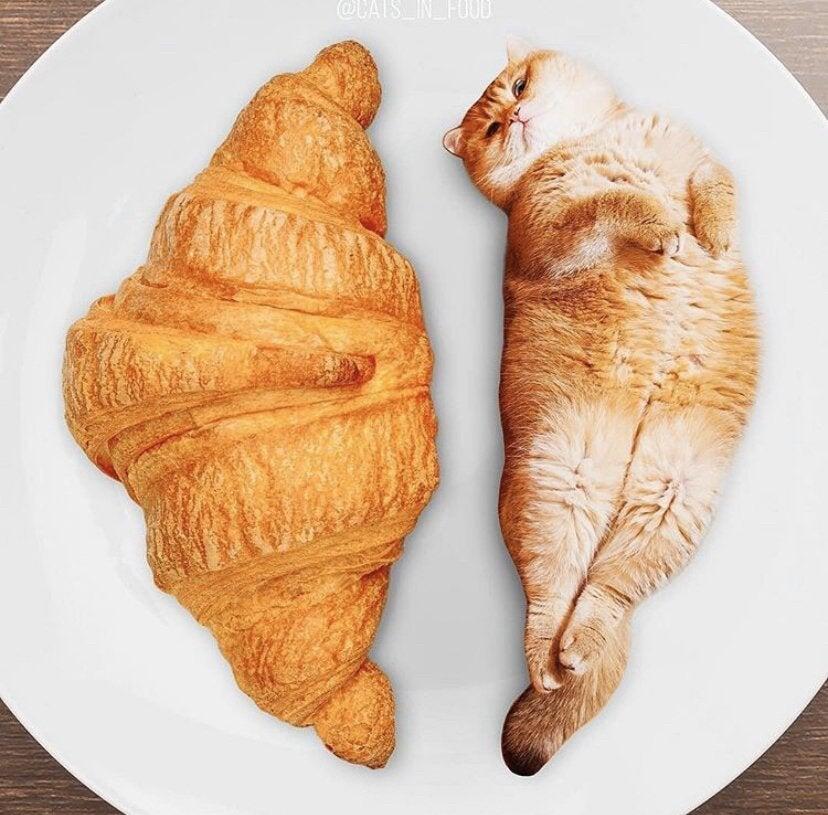 Bikin Gagal Fokus, 10 Foto ini Mirip Makanan