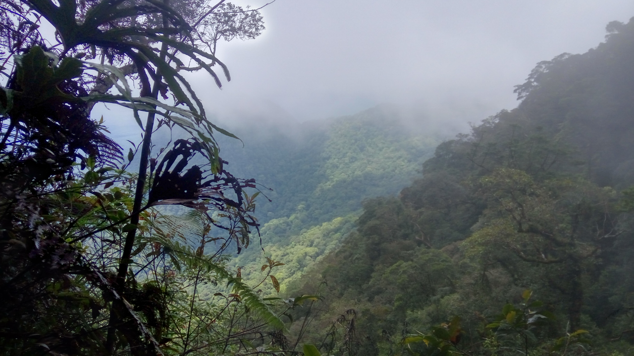 Sensasi Muncak Perdana Langsung Ambil 1417 MDPL