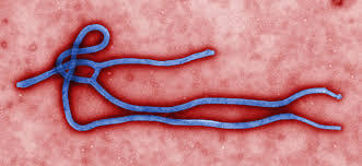 Top 7 Virus yang Bisa Jadi Lebih Berbahaya dari Corona