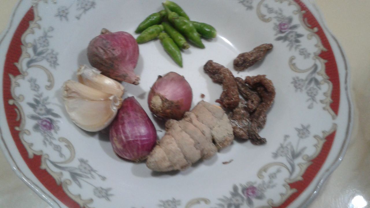 SAYUR BUAH MENGKUDU