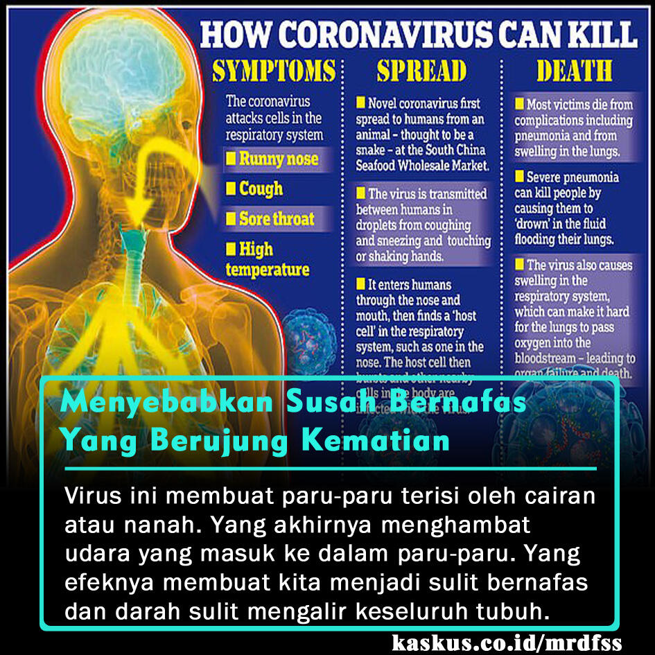 5 Alasan Kenapa Virus Corona Itu Sangat Menakutkan!