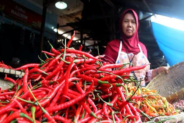 Kenaikan Harga Cabai Penyebab Utama Inflasi Januari 2020