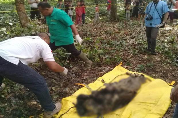 Mayat Tanpa Identitas Ditemukan di TPU Kampung Singapadu Serang