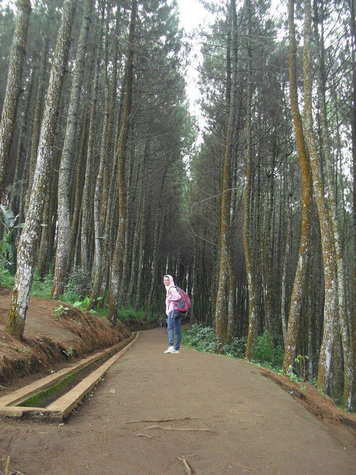 Keindahan Alam Bandung Memicu Adrenalin
