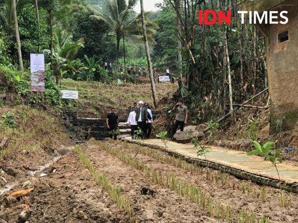 Penghijauan Jadi Strategi Cegah Banjir, Jokowi Anggarkan Rp1,9 Triliun