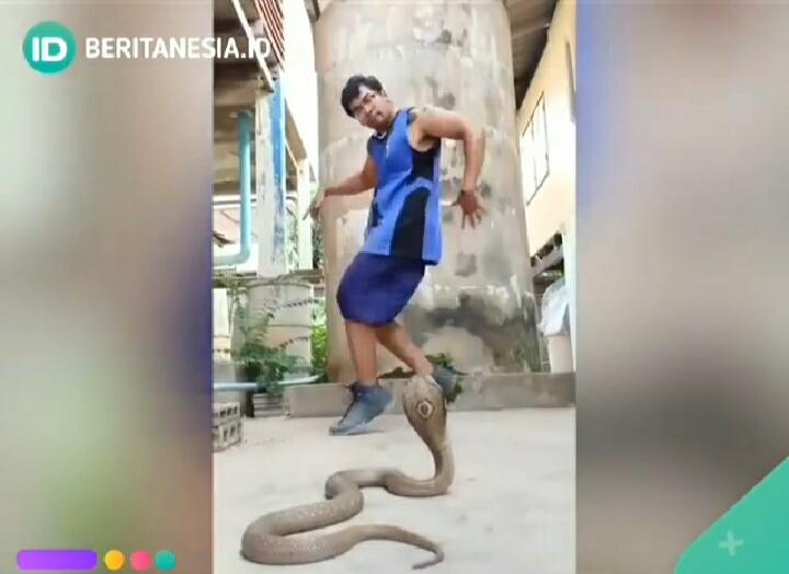 Menegangkan! Pria Ini Ngedance di Depan Ular Kobra! Bagaimana Endingnya?