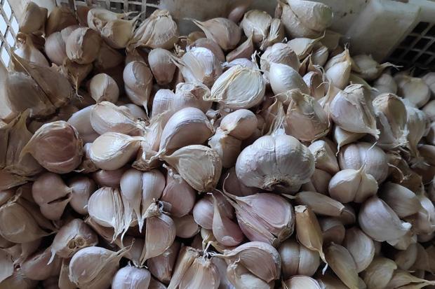 Pembatasan Impor dari China Picu Lonjakan Harga Bawang Putih di Pasar Kramat Jati