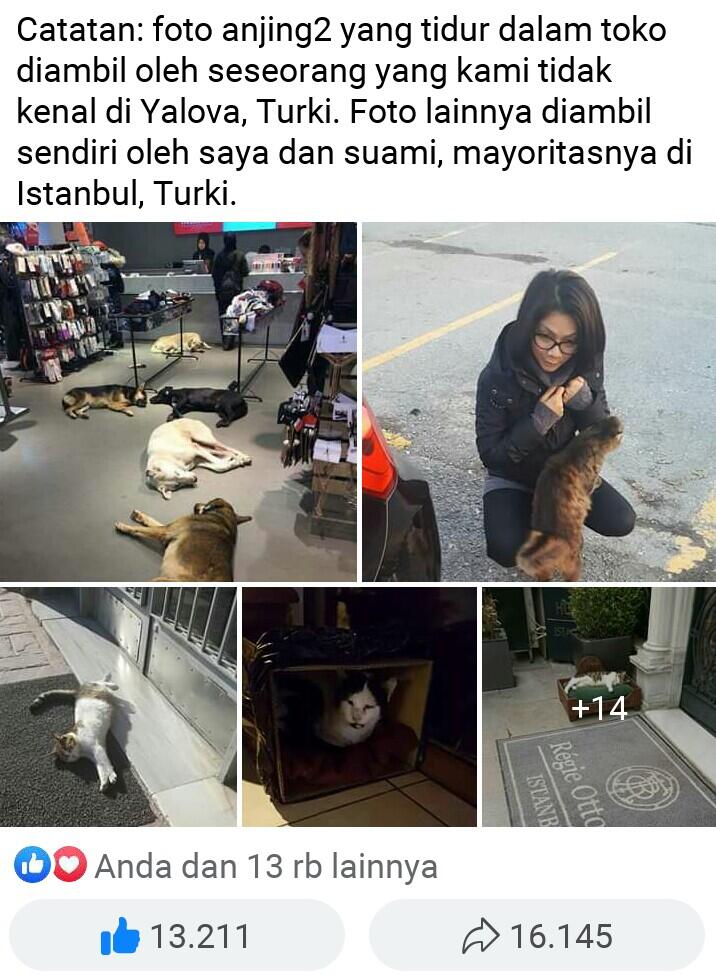 Kagum, Wanita Ini Kisahkan Hewan Liar Di Turki Melalui Postingan Facebook!