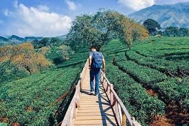 Yuk Kunjungi Tempat Wisata Terbaik Malang!