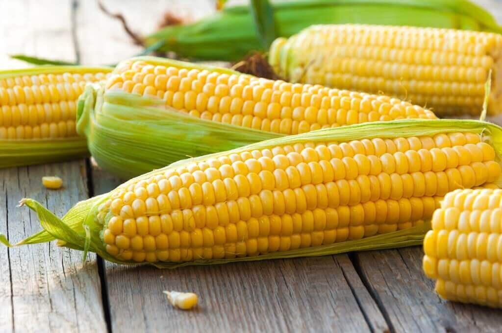 Bosen Bikin Perkedel Jagung, Coba Bikin Puding Susu Jagung Aja, Yuk
