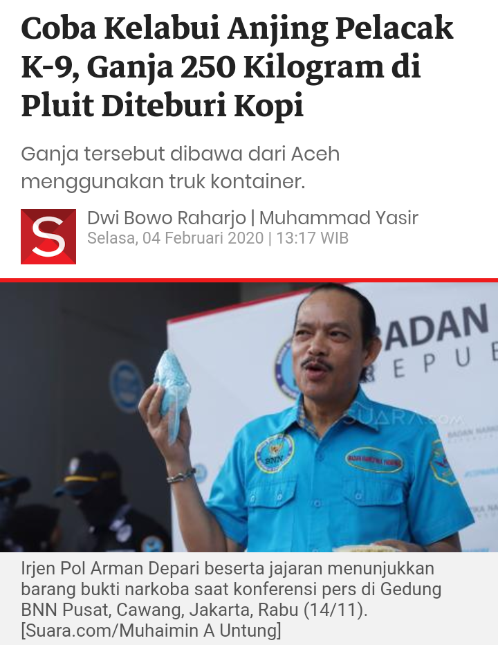 Coba Kelabui Anjing Pelacak K-9, Ganja 250 Kilogram di Pluit Diteburi Kopi