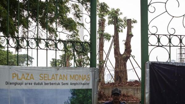 Komisi D DPRD DKI Akan tanya Pemprov soal #MisteriPohonMahoni di Monas