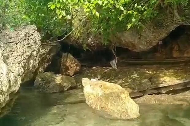 10 Tahun Tinggal di Gua, Kakek La Udu Jalani Pemeriksaan Kesehatan