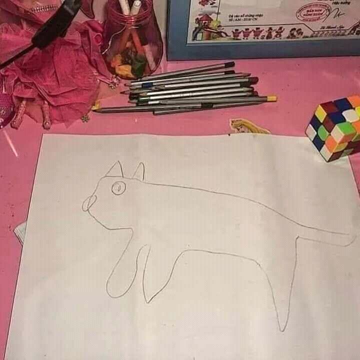 Beberapa Tingkah Laku Kucing Ini Diluar Batas Wajar Wkwkwk Yuk Liat