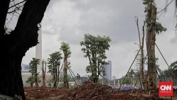 191 Pohon Tebangan Monas 'Raib', Anak Buah Anies Berkelit

