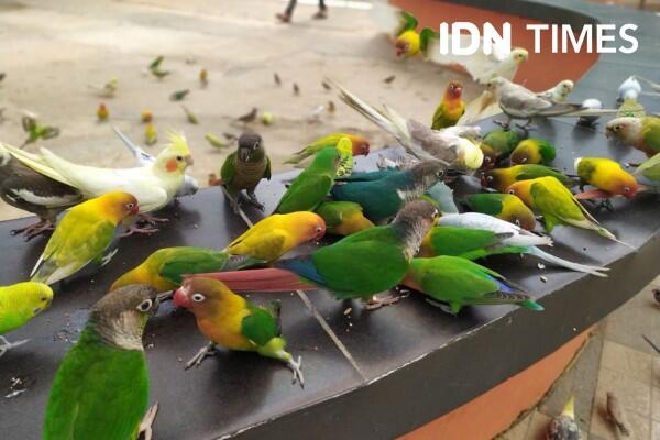 Pemkot Palembang Sidak Pasar Burung untuk Cegah Virus Corona